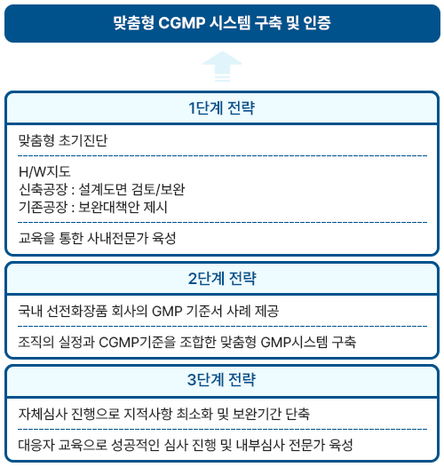 CGMP 컨설팅 추진전략